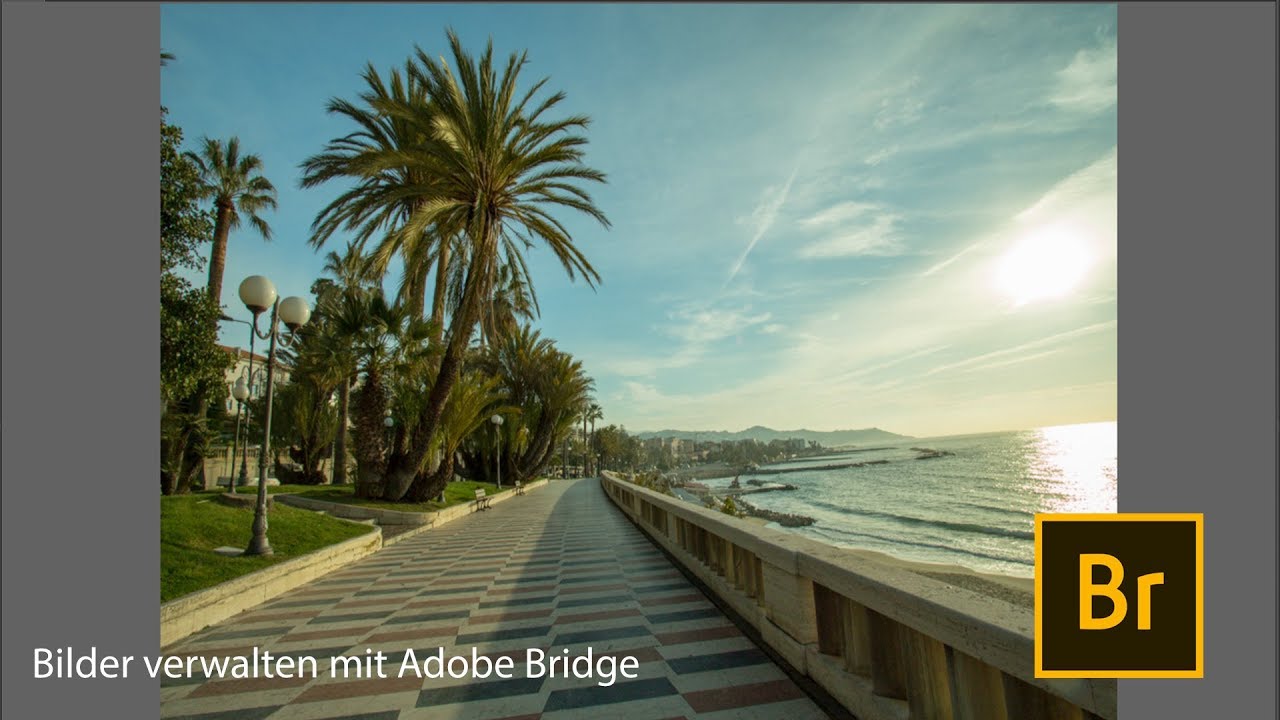 Bilder verwalten mit Adobe Bridge