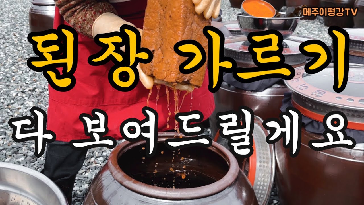 된장 가르기의 모든 과정 메주건지기 곰팡이 황곡균 된장치대기 씨된장넣기 다시마덮기 항아리천덮기 다 보여드리겠습니다