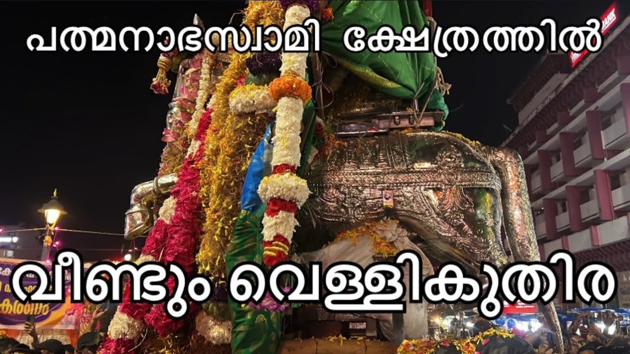 വീണ്ടും വെള്ളികുതിര പത്മനാഭസ്വാമി ക്ഷേത്രത്തിൽ  വന്നപ്പോൾ 🙏 | Padmanabhaswami temple | Trivandrum
