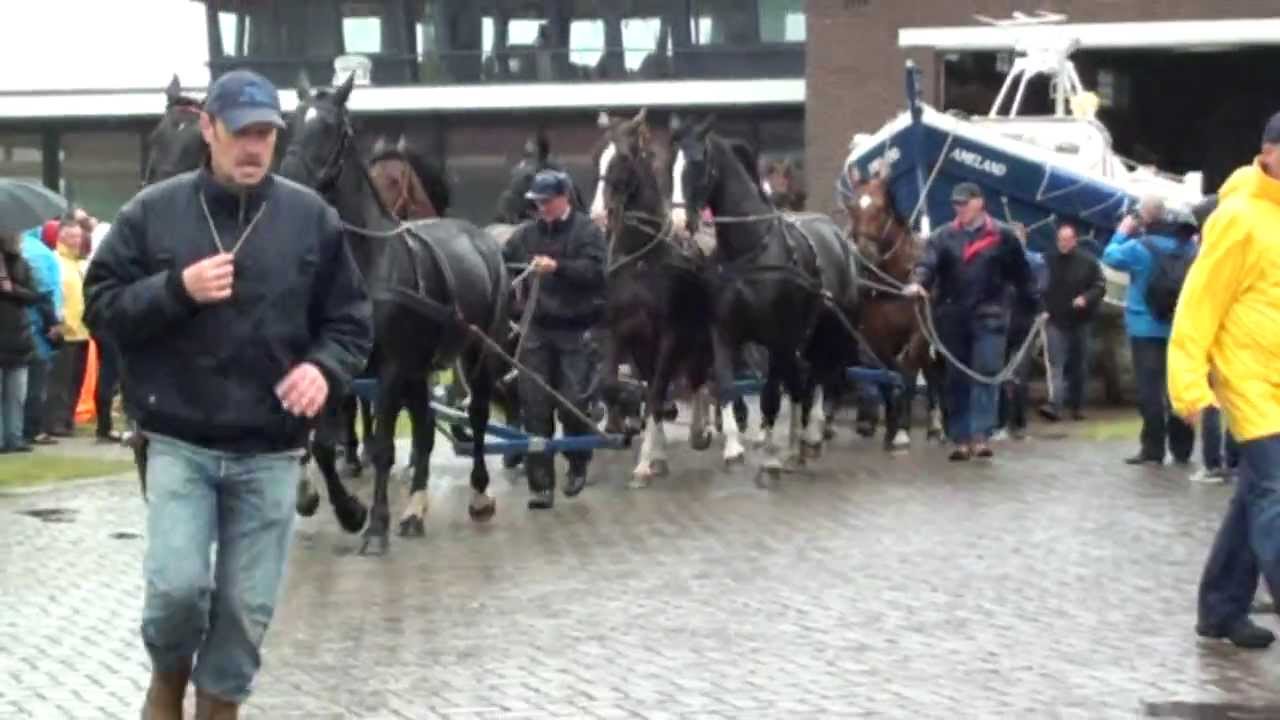 Paarden Reddingsboot op Ameland