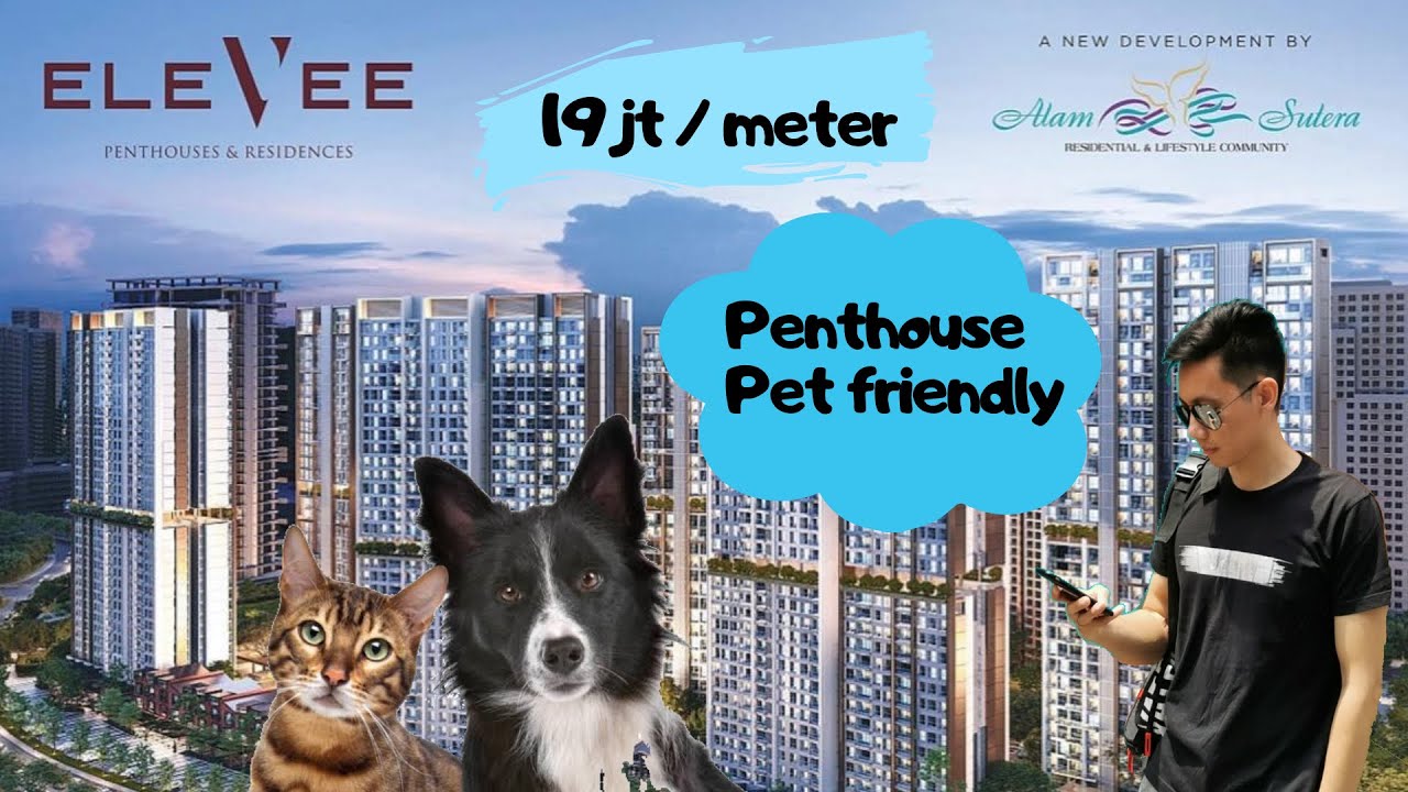 ELEVEE Alam Sutera. Penthouse yang boleh bawa pet !!