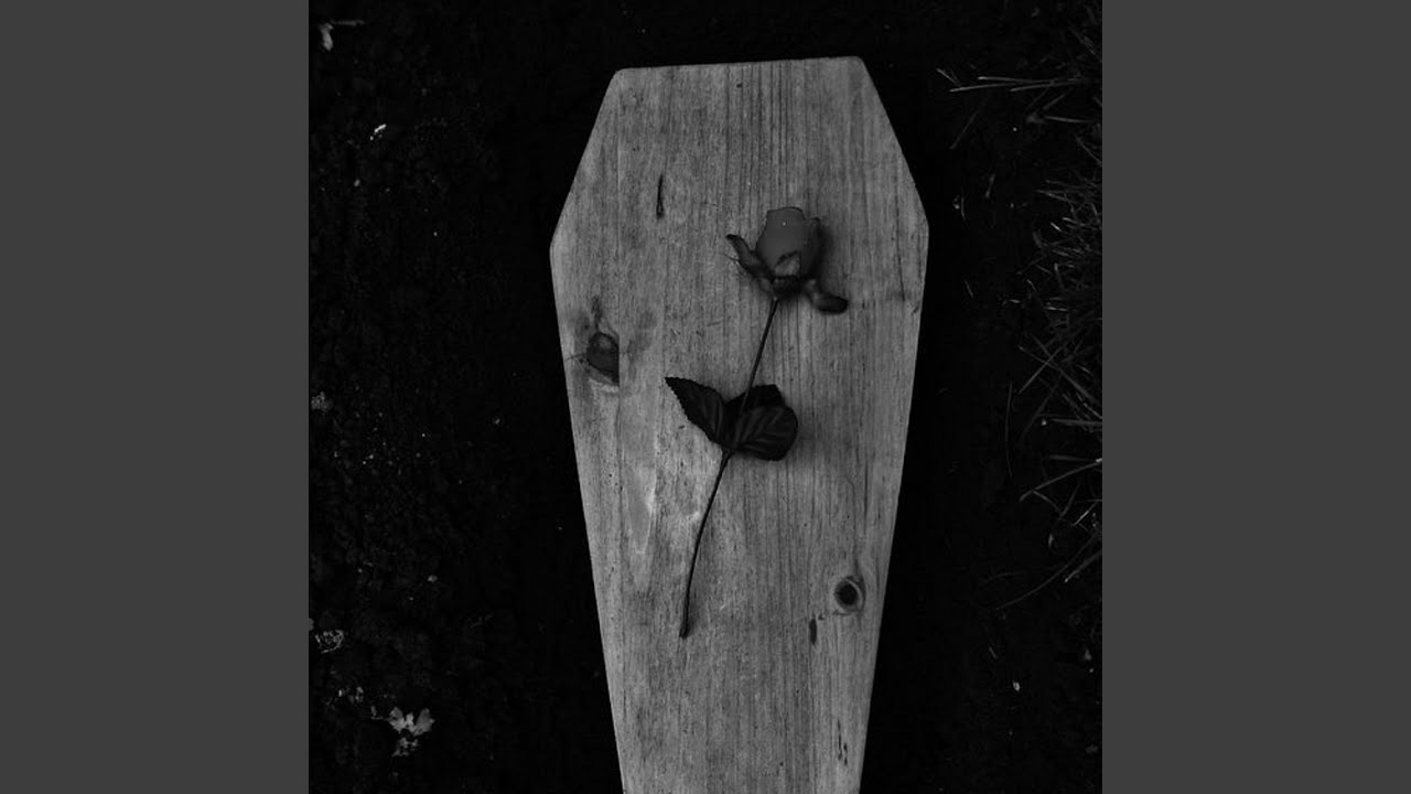 Suicide Letter