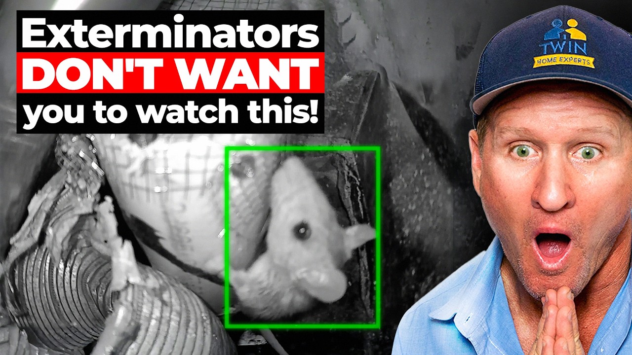 The Rat Problem No One Could Solve... Until the Twins Arrived!
