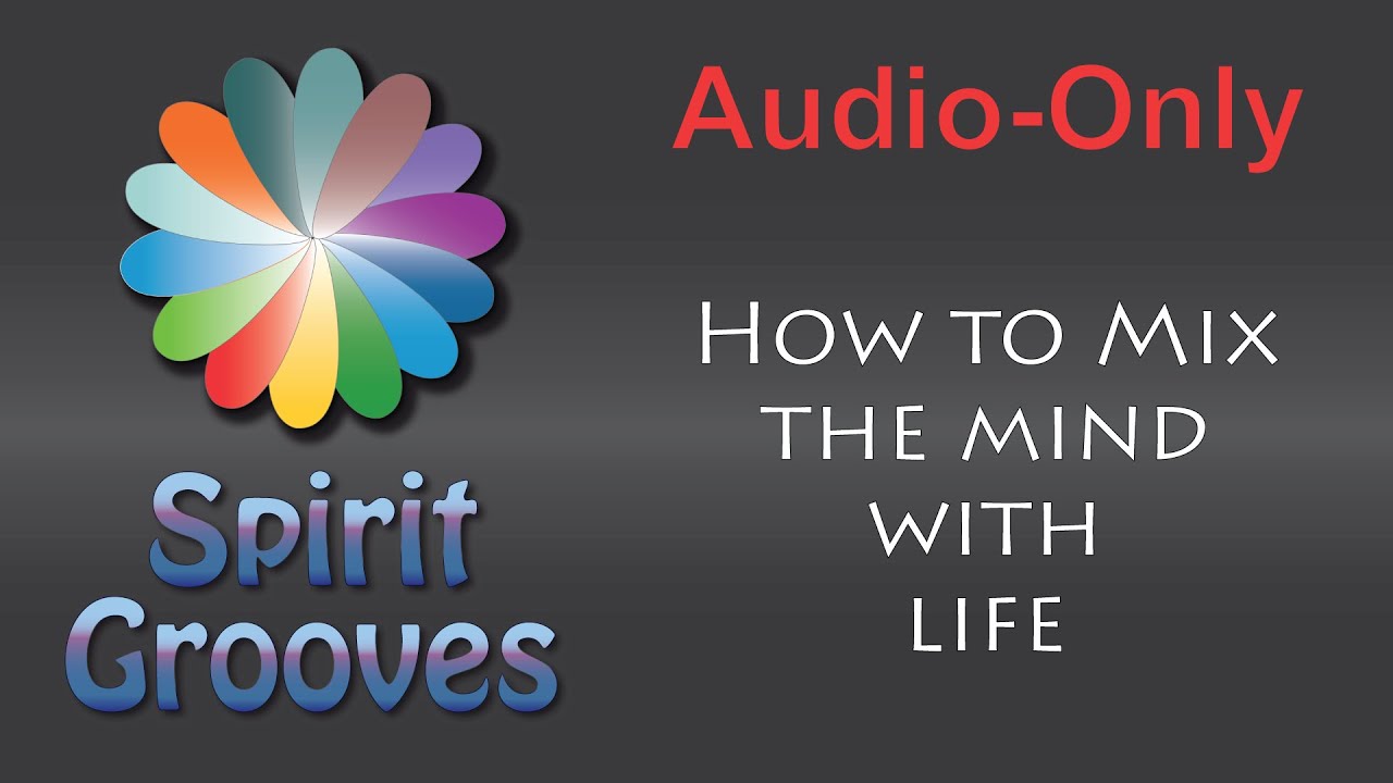 018 Dharma: How to Mix the Mind with Life , with Michael Erlewine