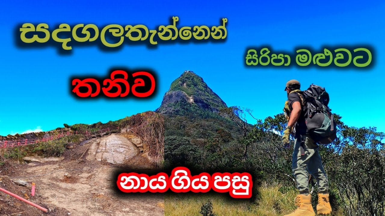  සදගල තැන්න හරහා සිරිපා මළුවට. 2025/12/5.. 2026 සිරිපා වාරය ආරම්භ වී දවසකට පසු හා නාය ගිය පසු 