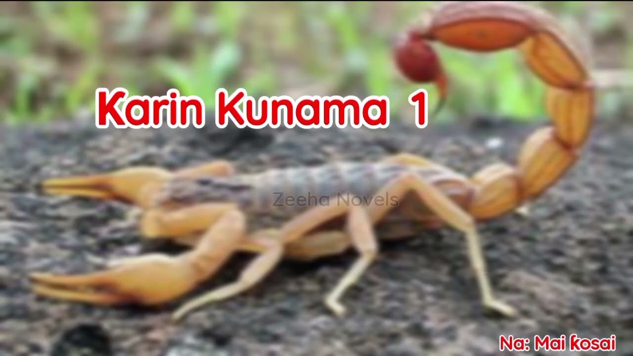 Karin Kunama 1, Labari mai cike da Sarƙaƙiya, Yaudara da Mugunta 