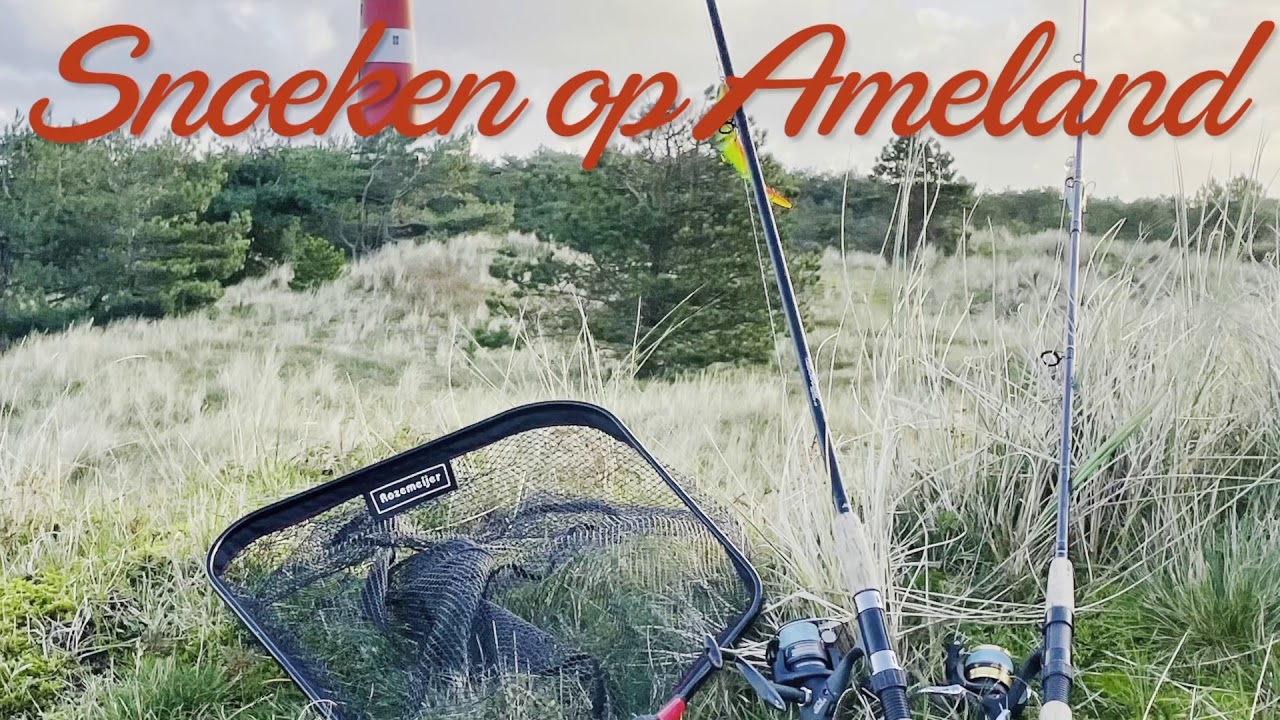 Vangst op ameland
