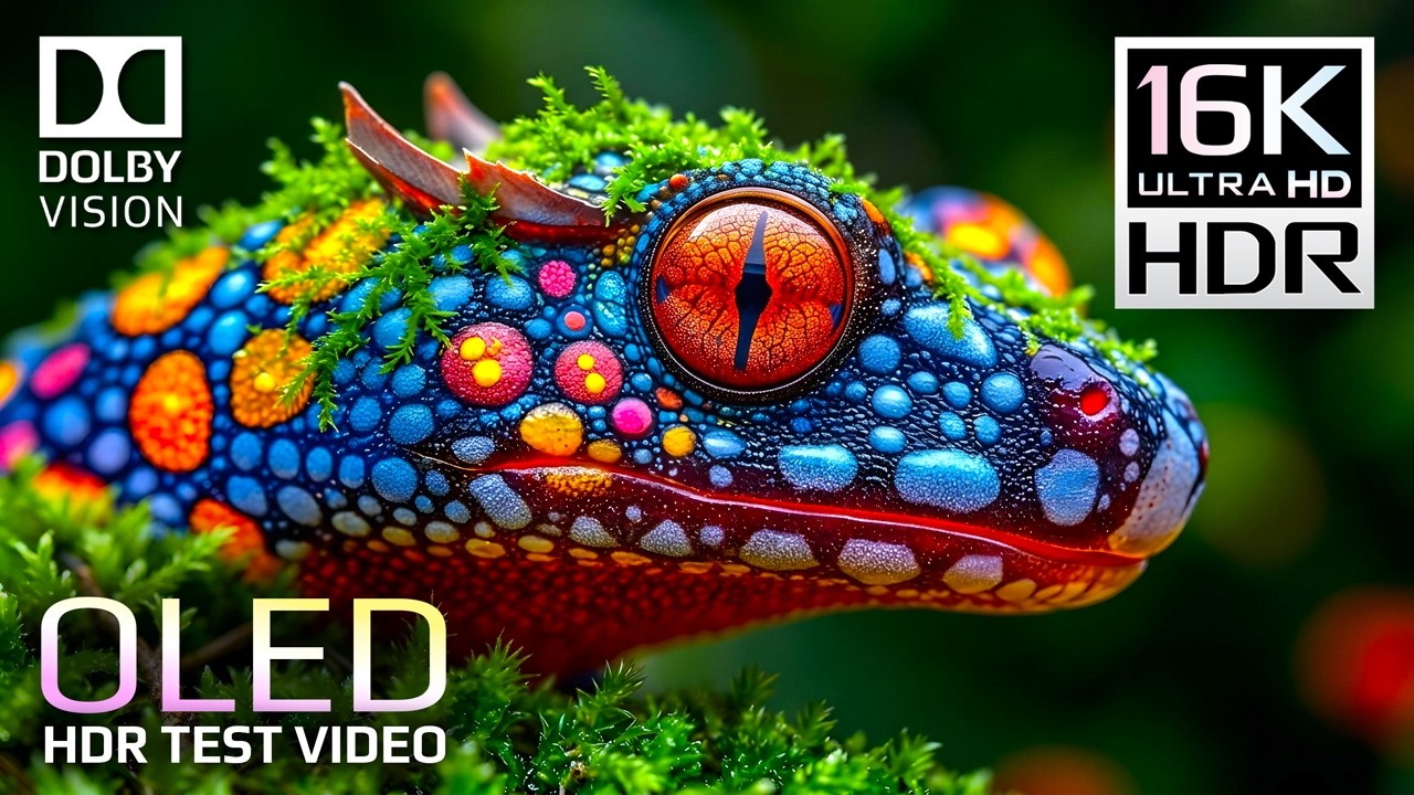 Impossible Quality OLED HDR Test | Dolby Vision 16K Video Ultra HD 240fps (8K 4K Video TV)