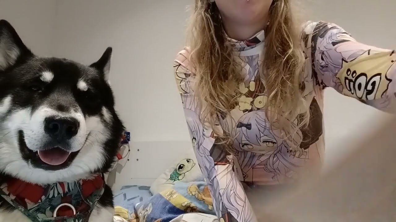 Tierseelen - Hunderettung durch Armb&auml;nder 💙 | 🐺 Husky Goraidh 🐾