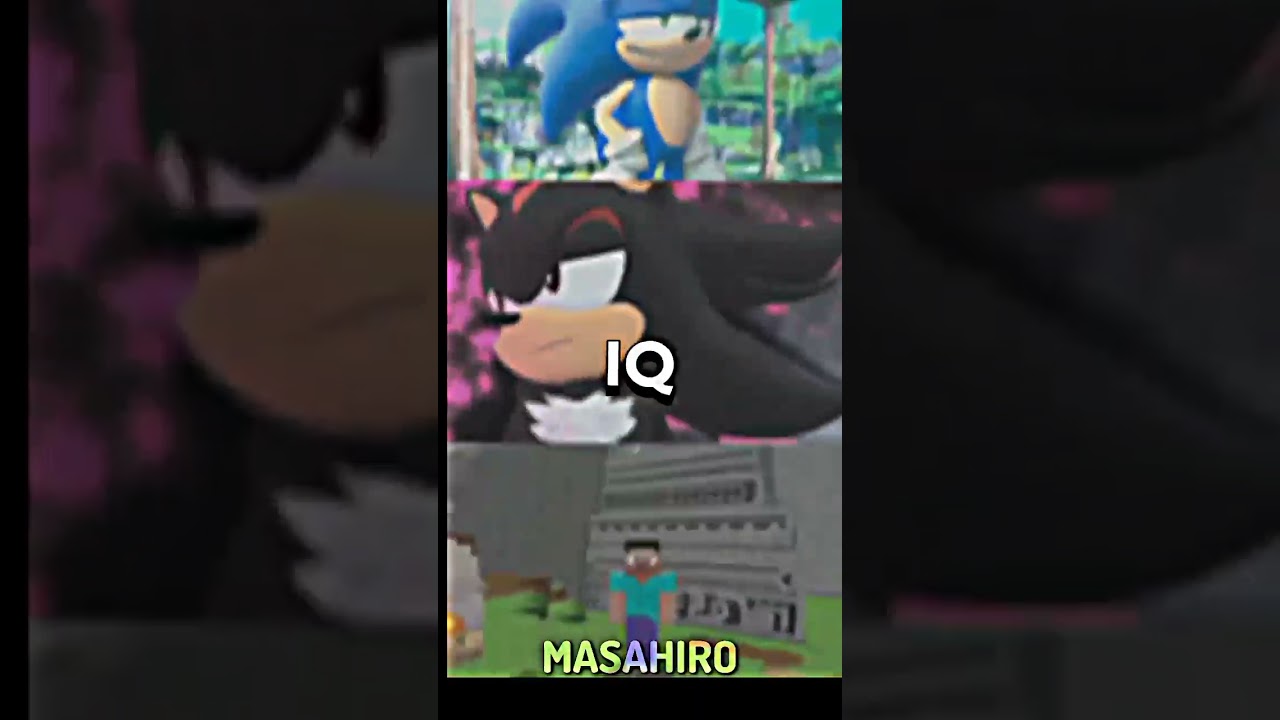 Sonic and Shadow vs Steve
