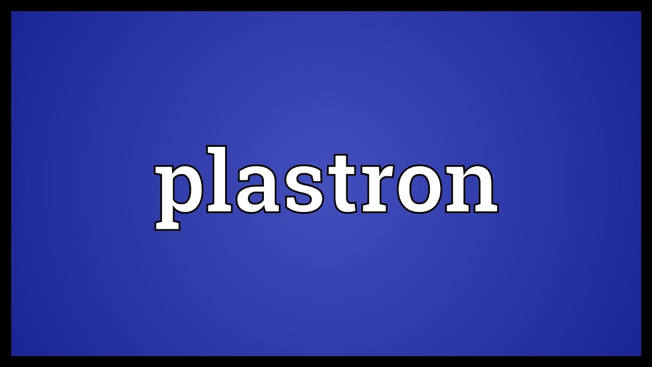 Plastron Meaning
