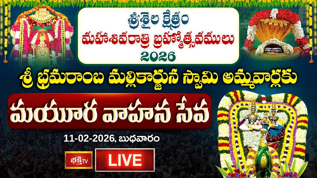 LIVE: శ్రీశైలం శ్రీ భ్రమరాంబ మల్లికార్జున స్వామి అమ్మవార్లకు మయూర వాహన సేవ | Srisailam Temple