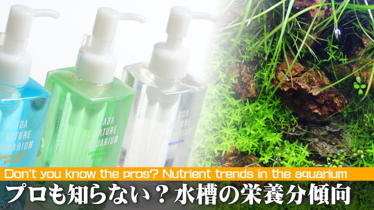 【水草水槽】栄養成分から肥料の選び方・与え方を知る