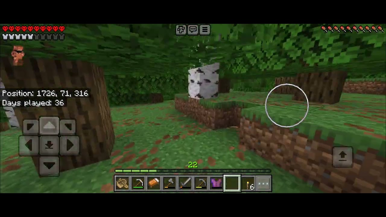 Minecraft World 1 Video 23