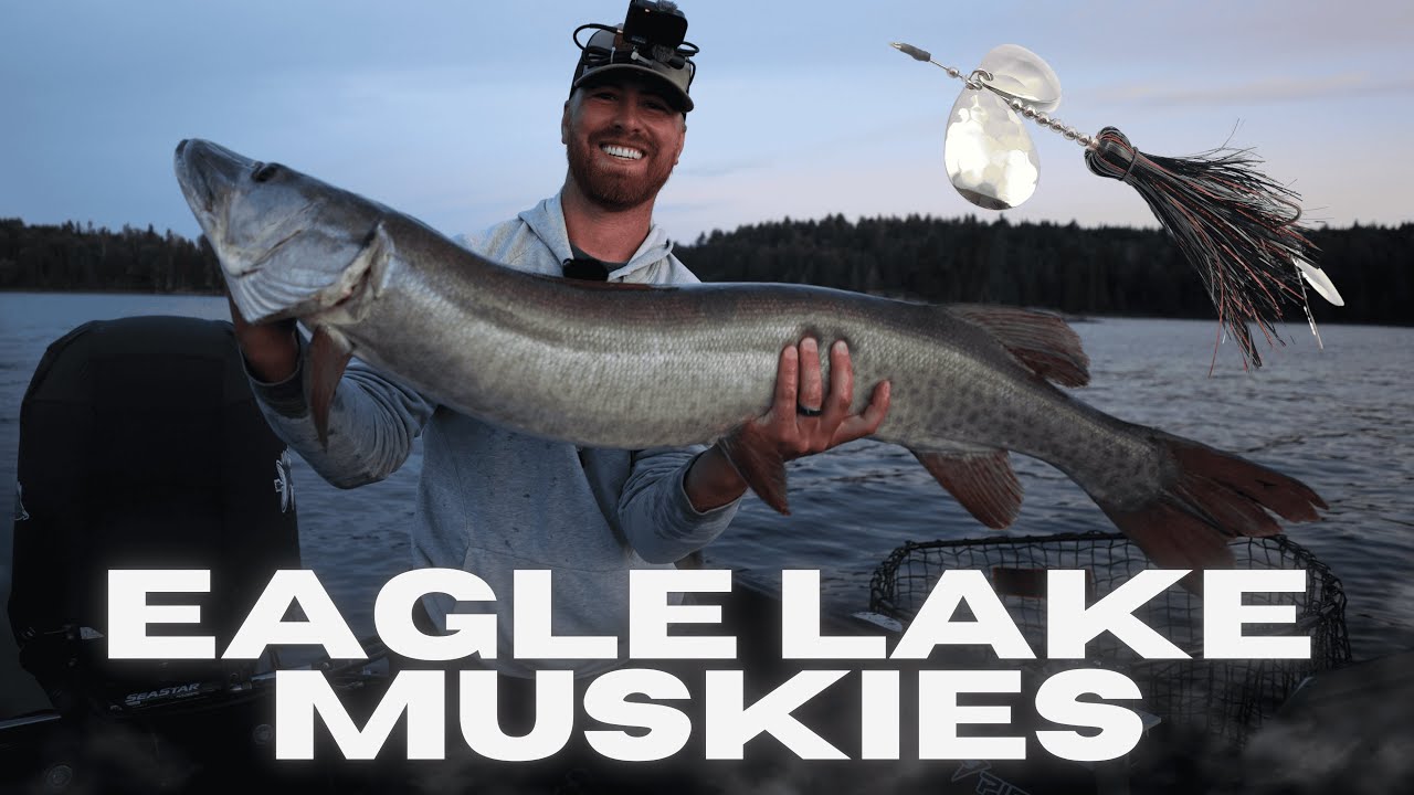 GIANT Eagle Lake Musky CRUSHES HunsyTail Banger In The FIGURE 8!  (Cinematic 4K Film #11)