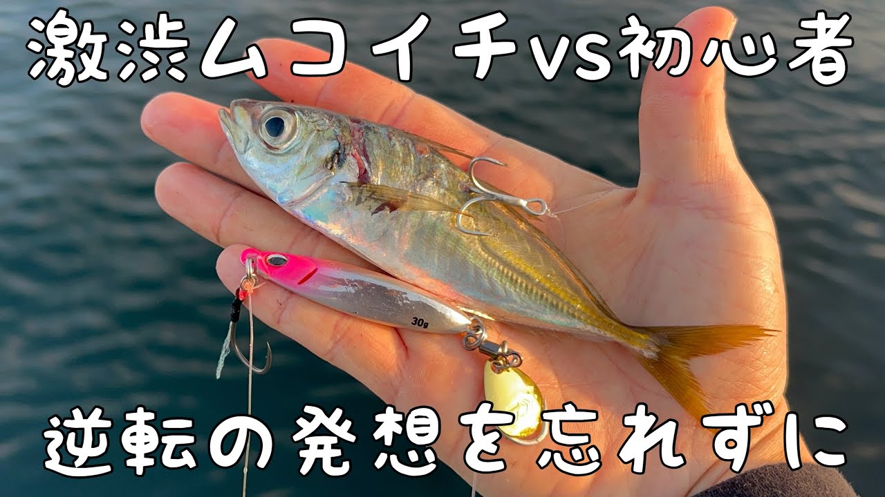 祭り終了！？激渋ショアジギでボウズを逃れろ！