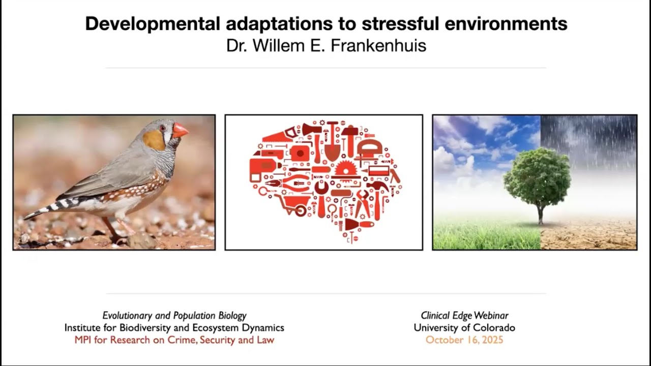 Clinical Edge: Developmental Adaptations to Stressful Environments