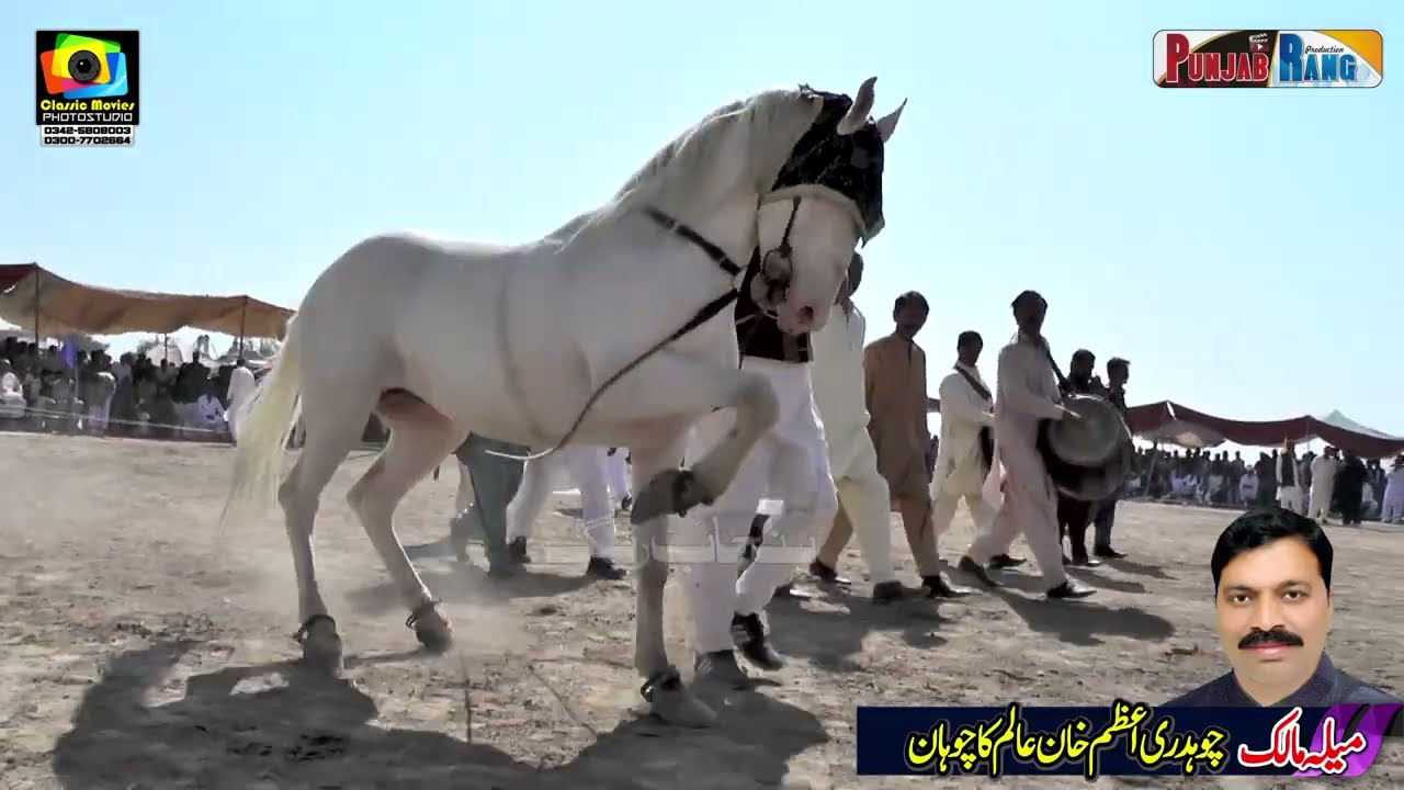 Caption ll Anmol ll  ll Horse Dance ll Darbar Baba Khera Khazana 2023
