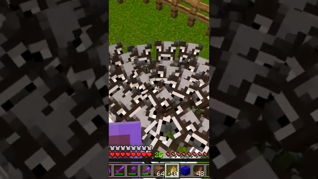 QUANTI CUCCIOLIIII🥰🤣 Minecraft ITA 
