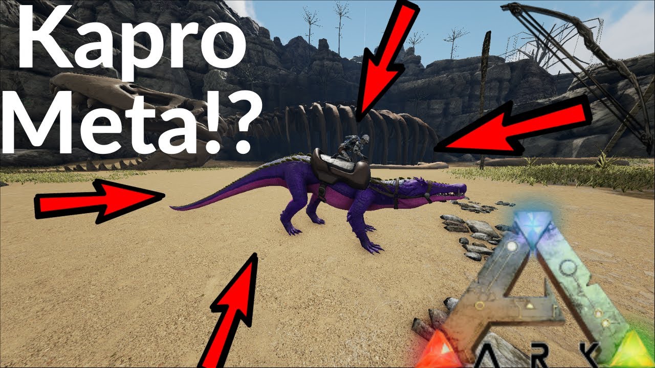 My Kapro Meta! Bullying Official with a Kapro | Ark Official PvP