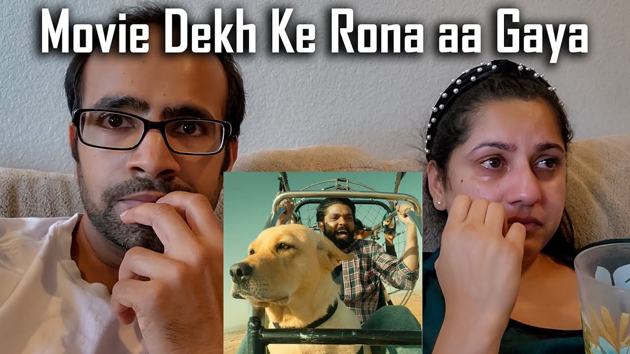 777 Charlie Movie Reaction with My Labrador Dog Buddy | We Started Crying @ouramericandream1183