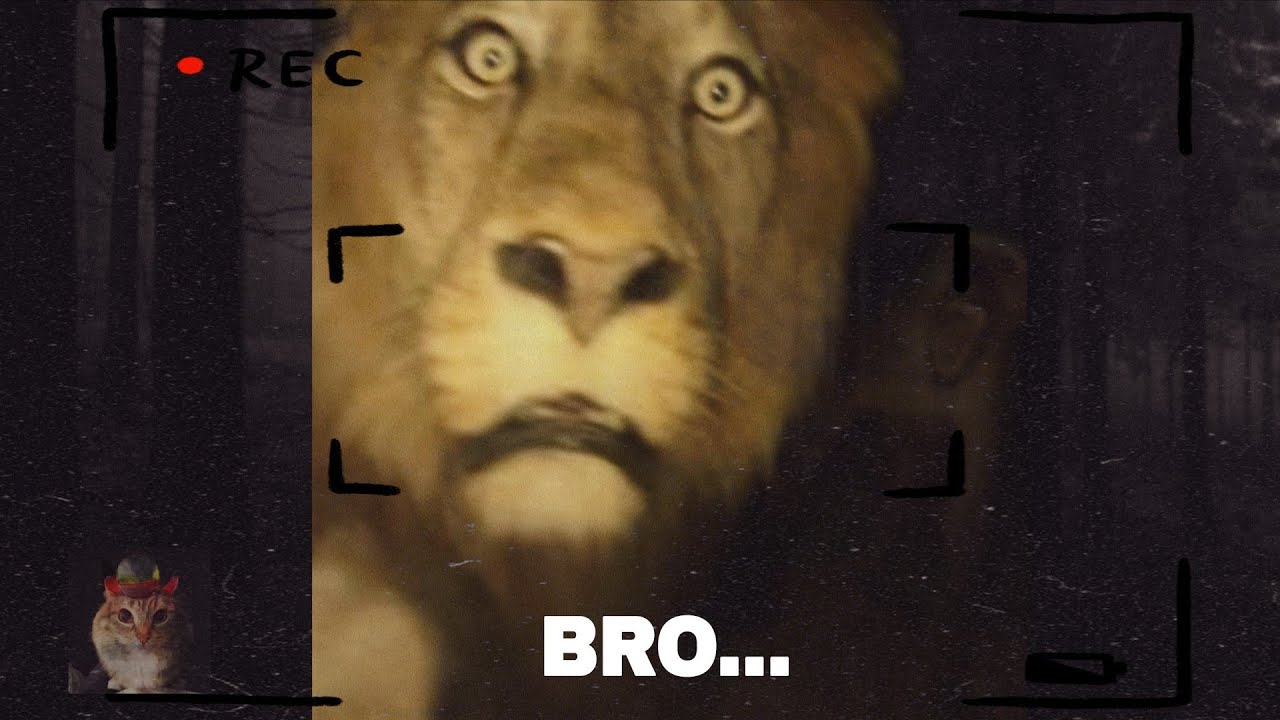 Animal Core: Bro forgot he was on camera💀