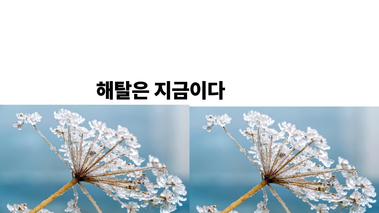 동시성과 해탈 어디로 가는 것이 아니다 #명상#견성성불#불교경전