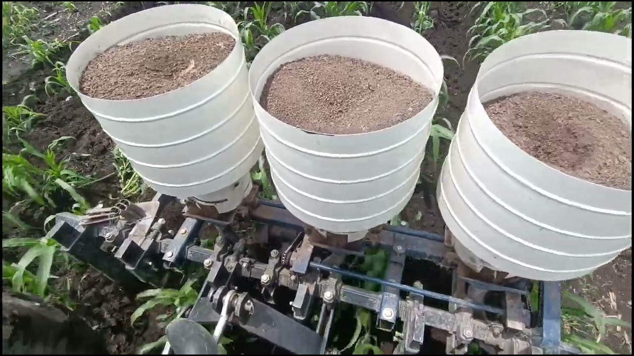 Cultivadora y fertilizadora del bajío - Tirando gallinaza | MAM