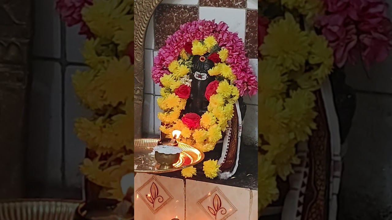 வியாழன் பூஜை 26/02/2026 ஸ்ரீ ஆதித்தகுரு சுவாமிகள் மடம், தஞ்சாவூர்
