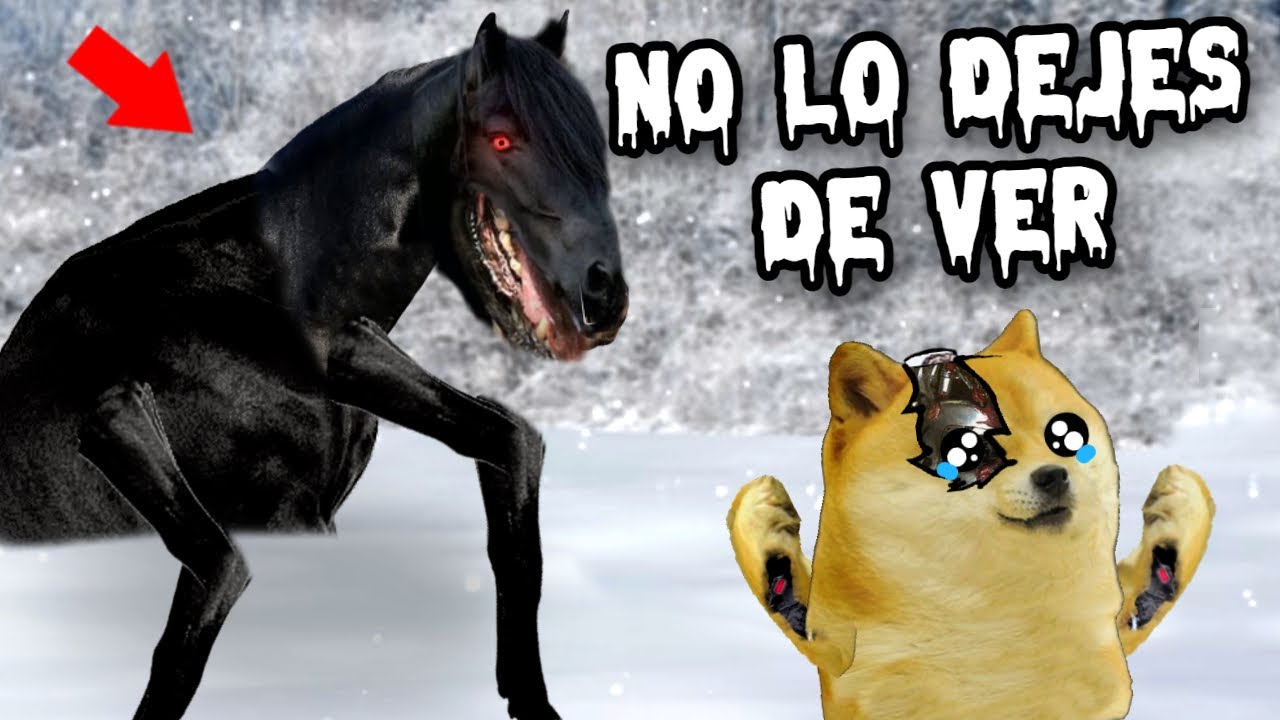 EL CABALLO QUE SONRÍE POR LAS NOCHES, no lo dejes de ver! - Hilos con cheems