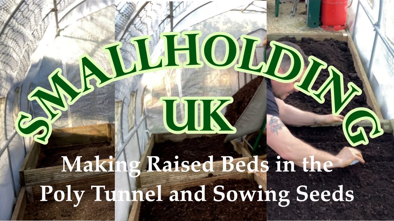 Making Raised Beds in the Poly Tunnel and Sowing Seeds