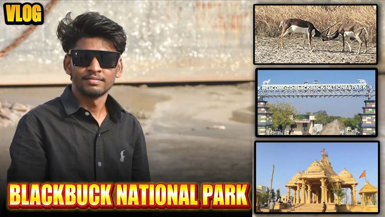 કોલેજ ટ્રિપ Day 1  | Blackbuck National Park Gujarat 