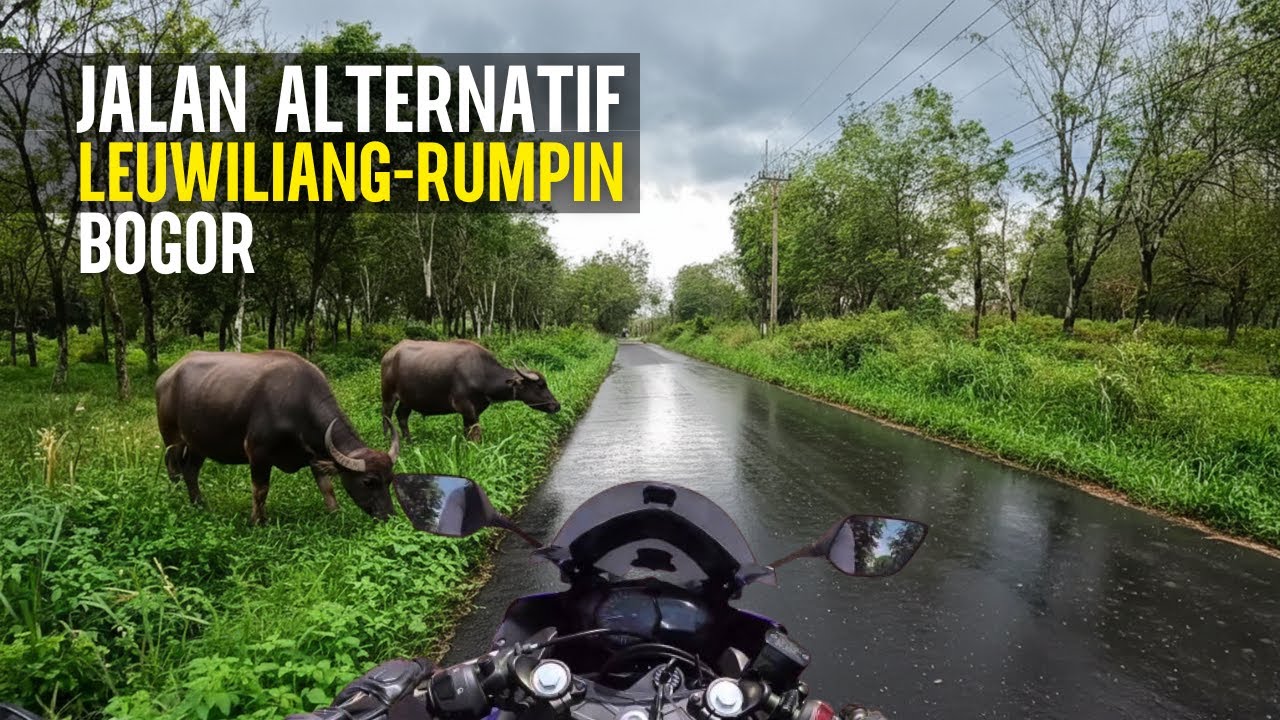 Jalan Alternatif Rumpin Leuwiliang Bogor