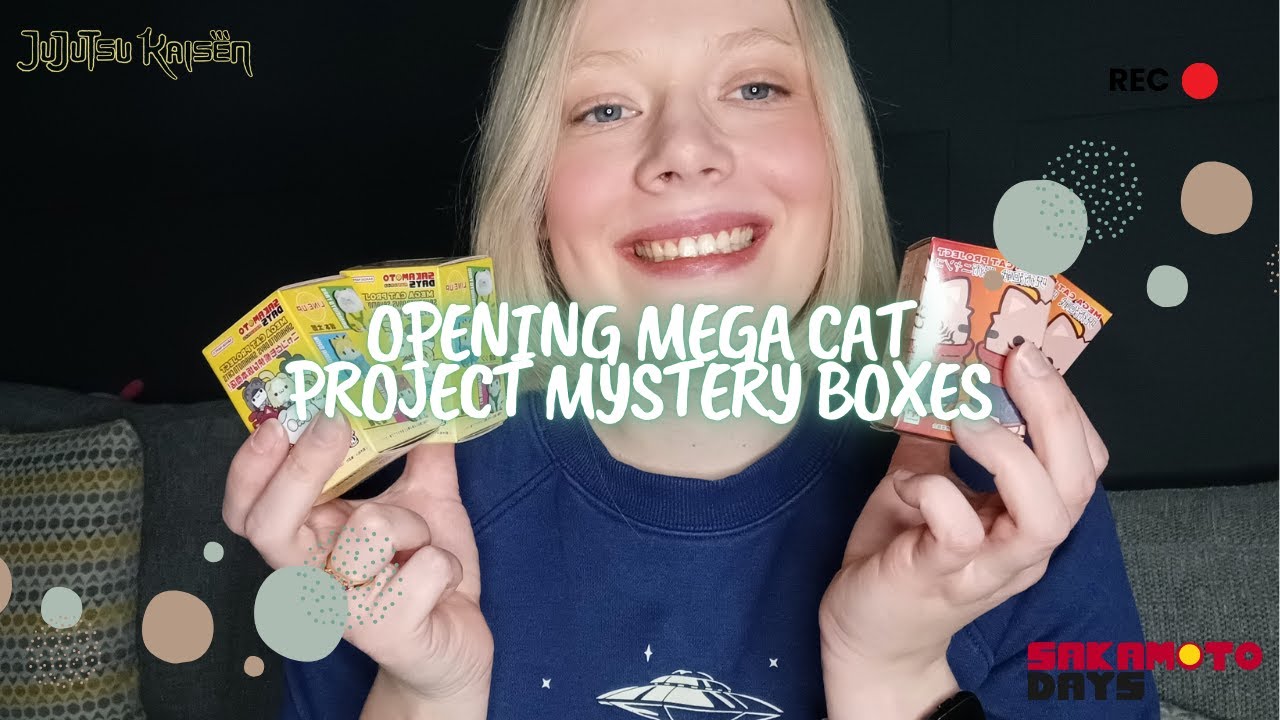 OPENING MEGA CAT PROJECT MYSTERY BOXES