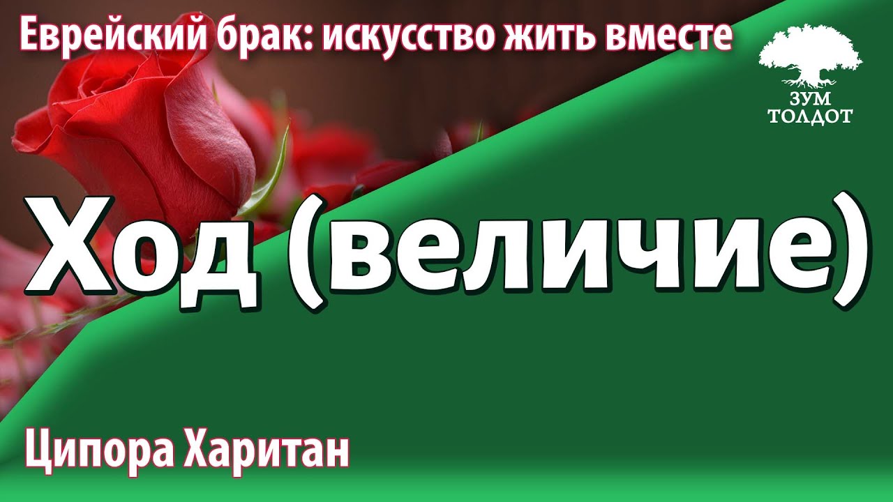 Урок для женщин. Величие (Сфира Ход). Ципора Харитан