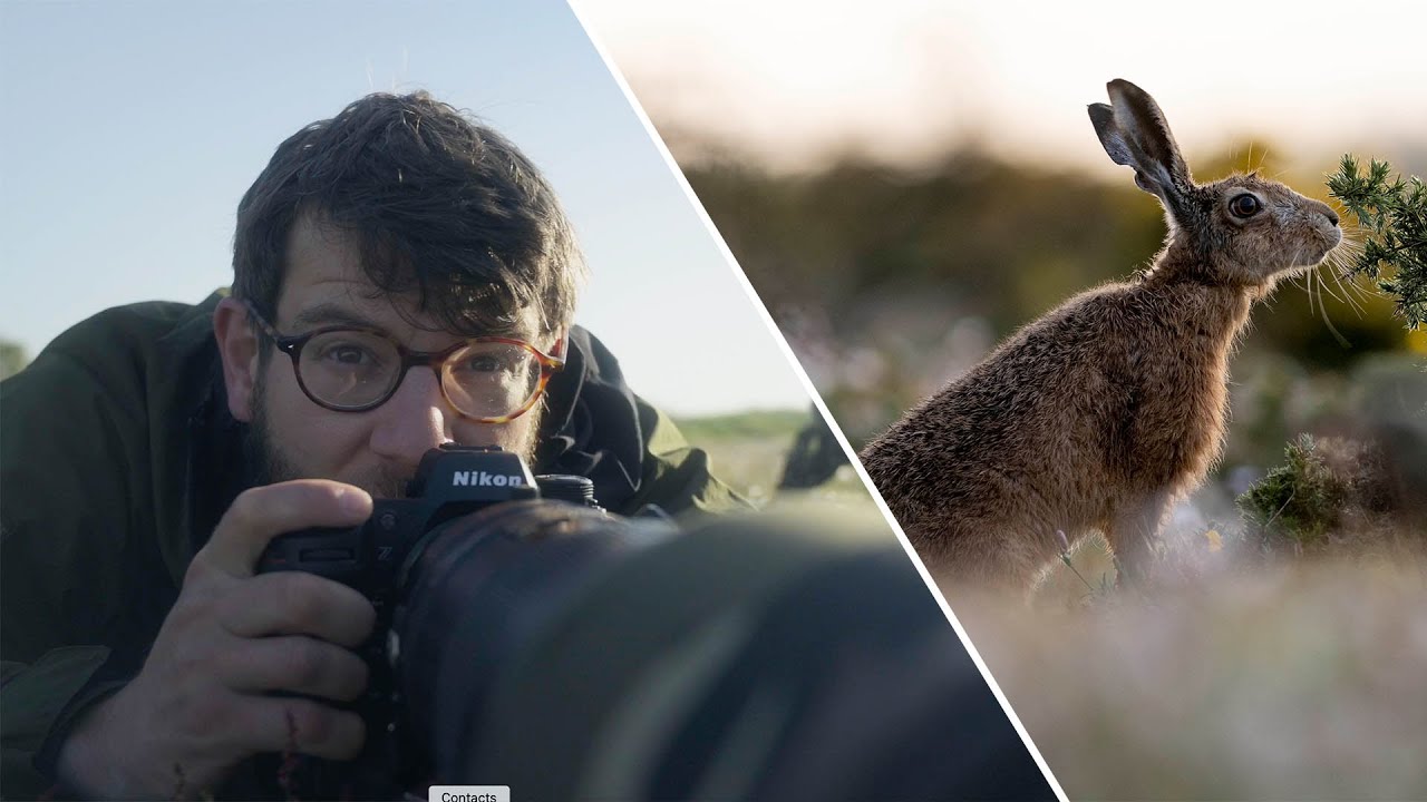 Nikon Z9 WILDLIFE PHOTOGRAPHY in the UK | Alone with Brown Hares + Camera trap build