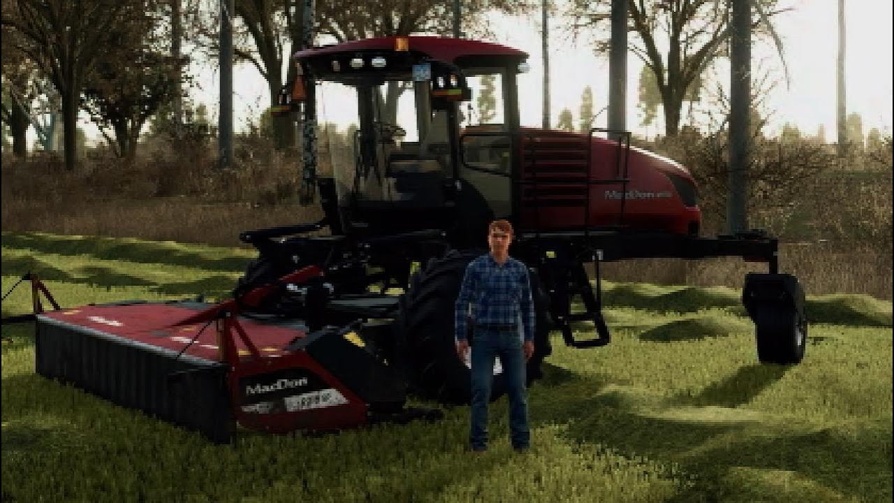 Trying to make money  Cow farm