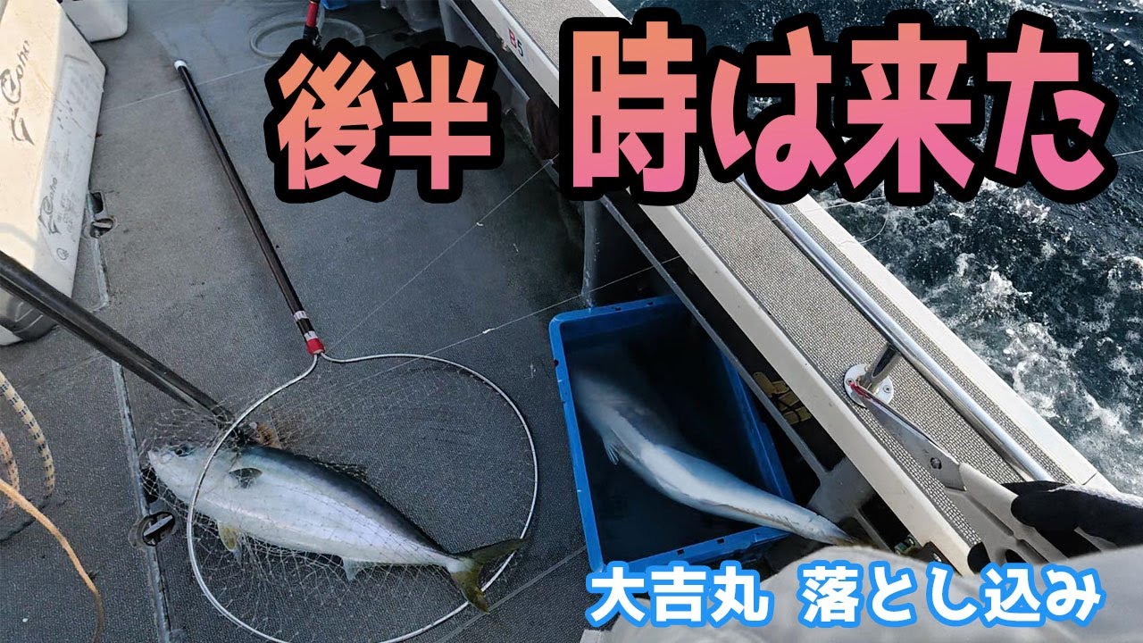 【後半戦】人生初の落とし込み釣りで青物ラッシュと展開が一変｜香住 大吉丸
