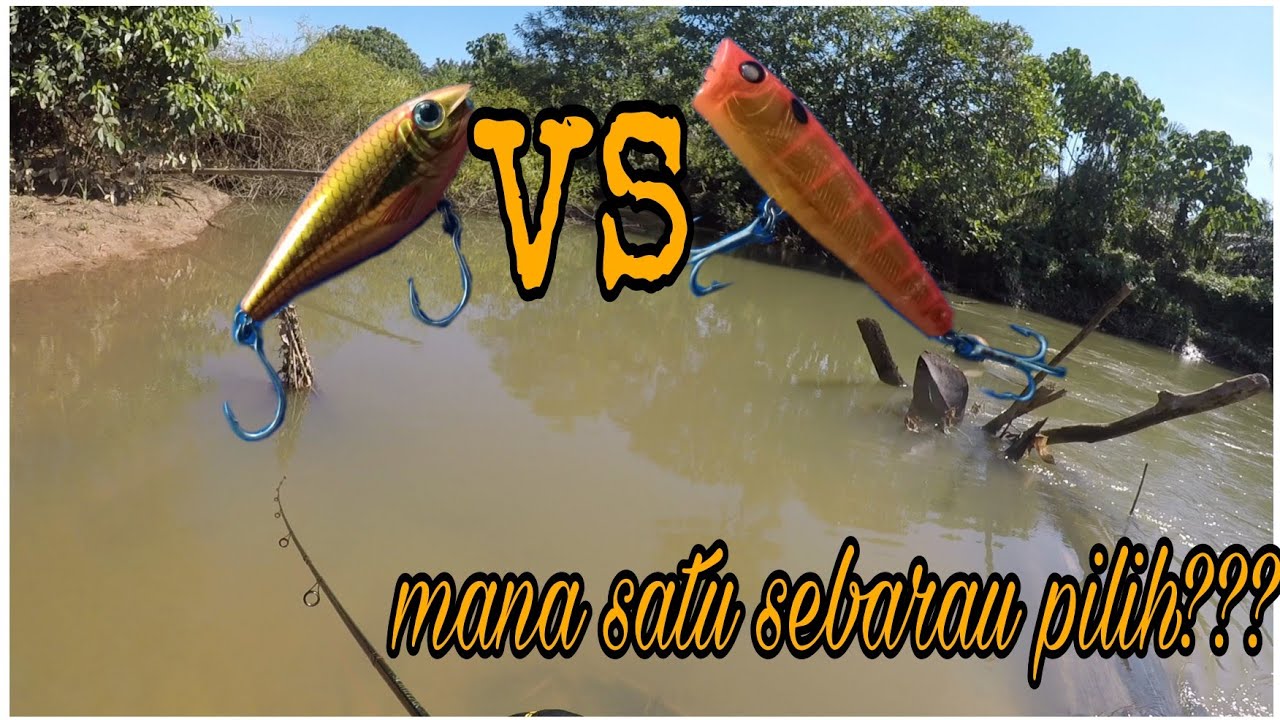 gewang pilihan sebarau popper @ shad