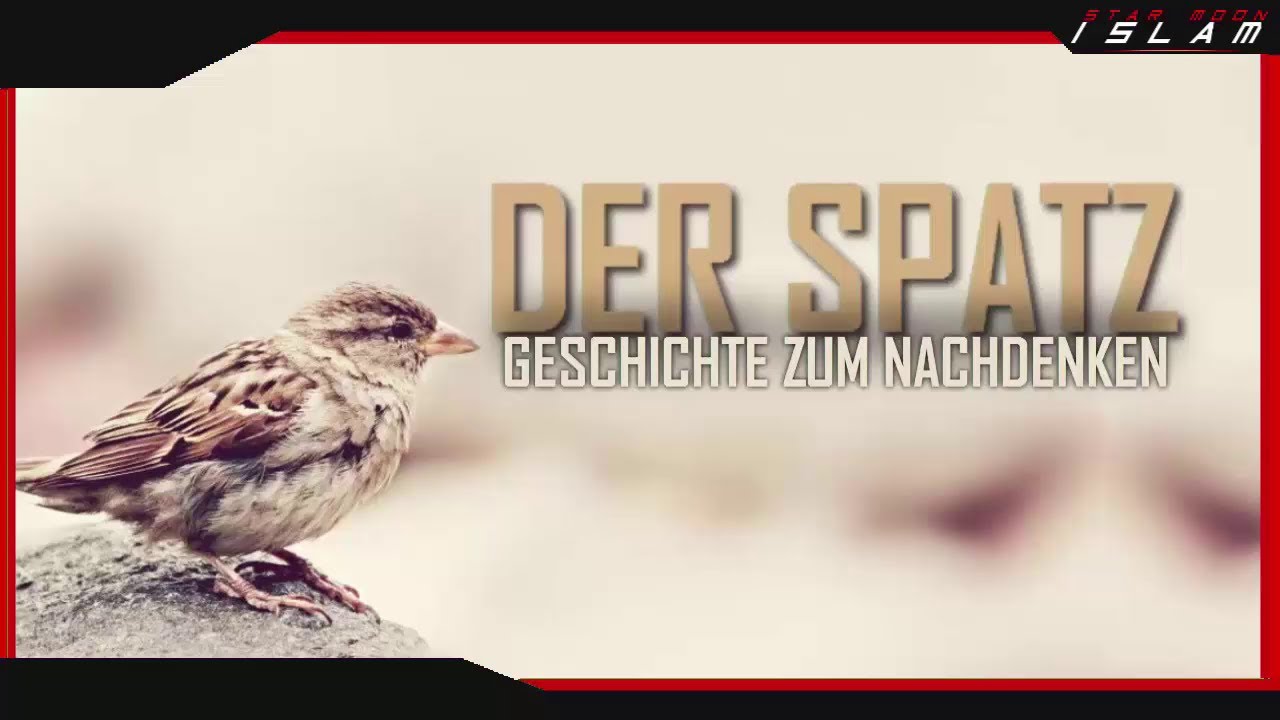 Der Spatz┇Liebst du Diejenigen die dich auch lieben? ᴴᴰ