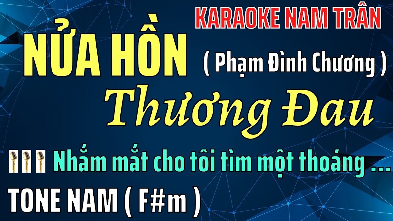 Karaoke Nửa Hồn Thương Đau Tone Nam | Nam Trân