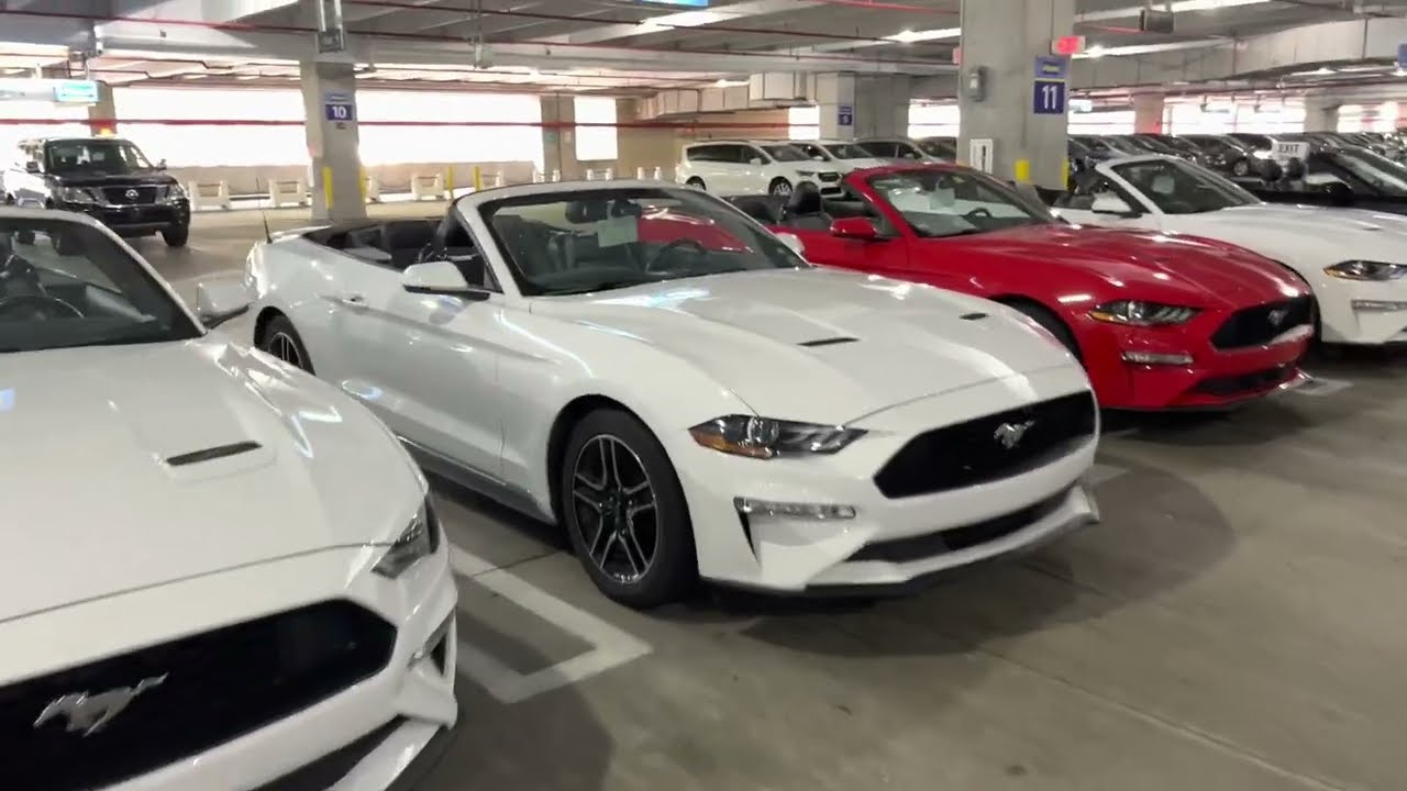 Alamo Car Rental - Miami Airport (MIA) - April 2022