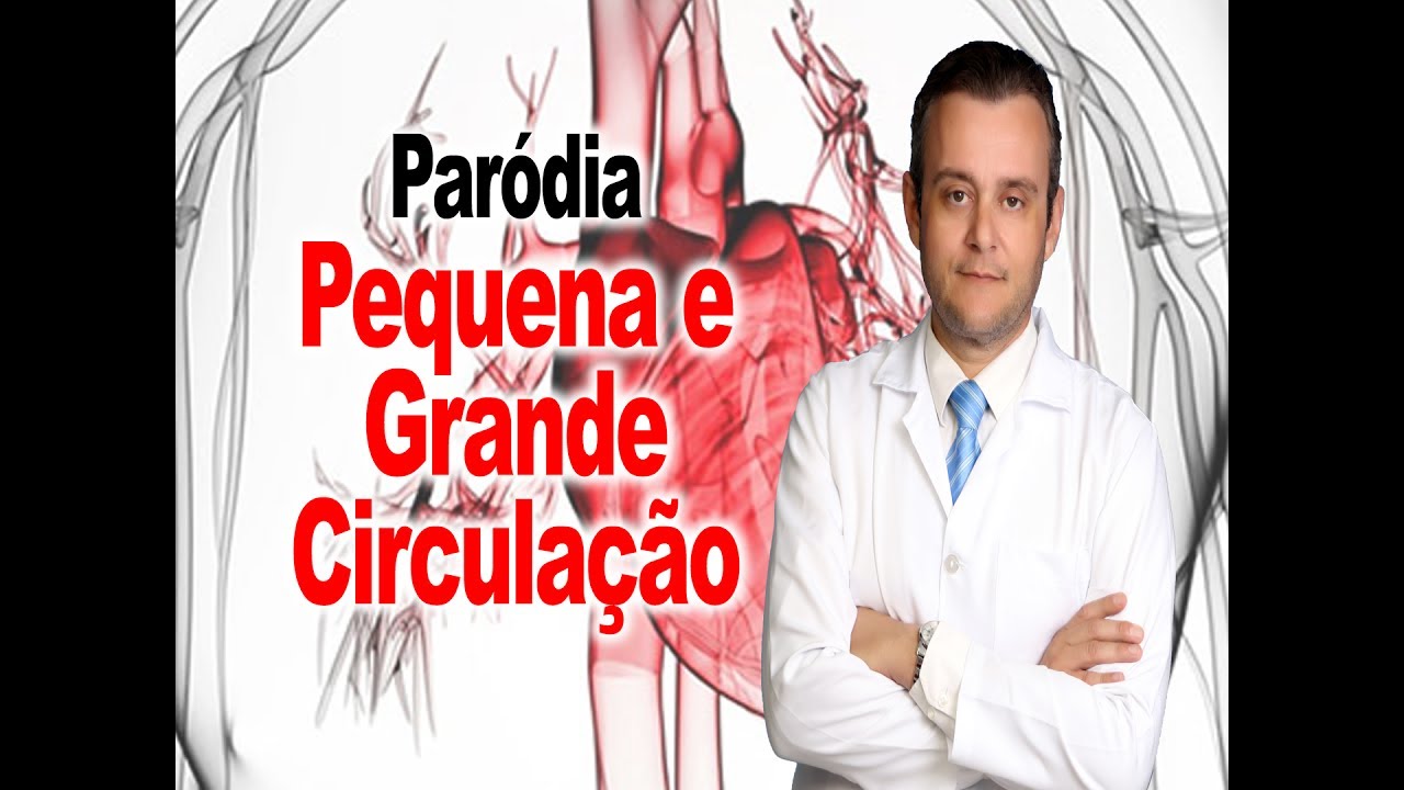 Paródia Pequena e Grande Circulação ( Música: você partiu meu coração / Nego do Borel)
