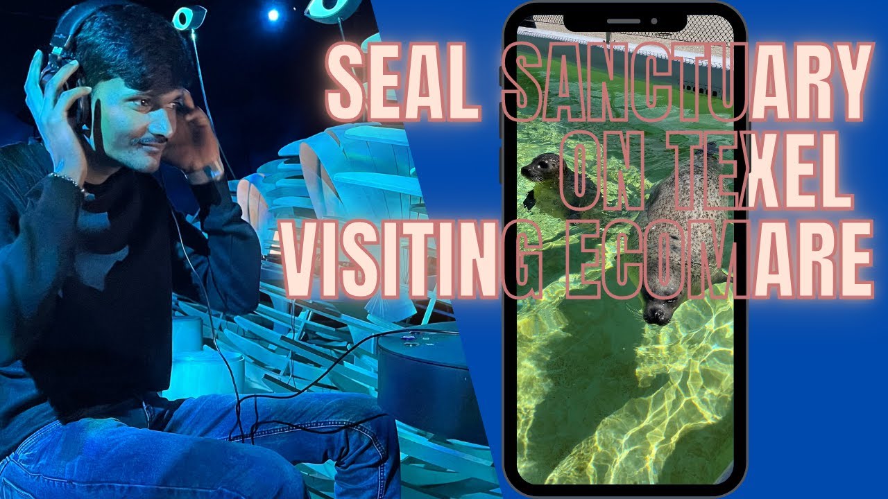 Fascinating Nature| Sea Creatures And Wildlife At Ecomare | Texel Island
