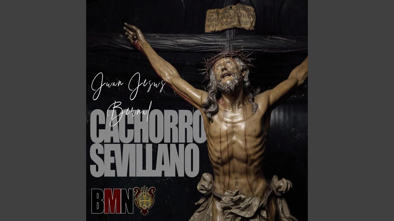 Cachorro Sevillano