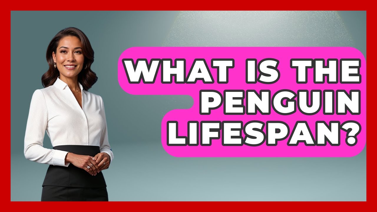 What Is The Penguin Lifespan? - Polar Regions Uncovered
