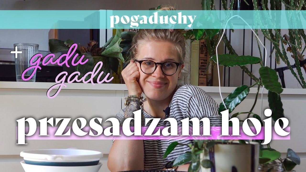🛠️  Przesadzam hoje i gadam nieco 📢