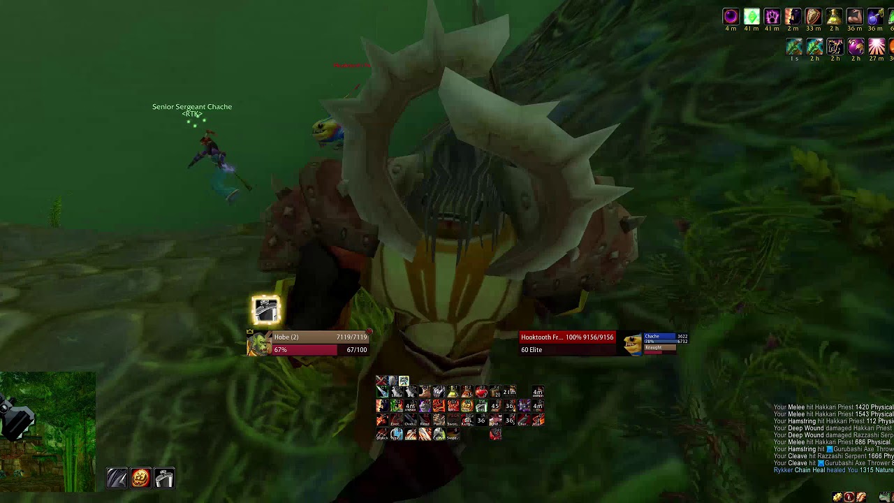 RTK vs. Zul'Gurub US-Stalagg Speedrun World 3rd / Server First 15mins