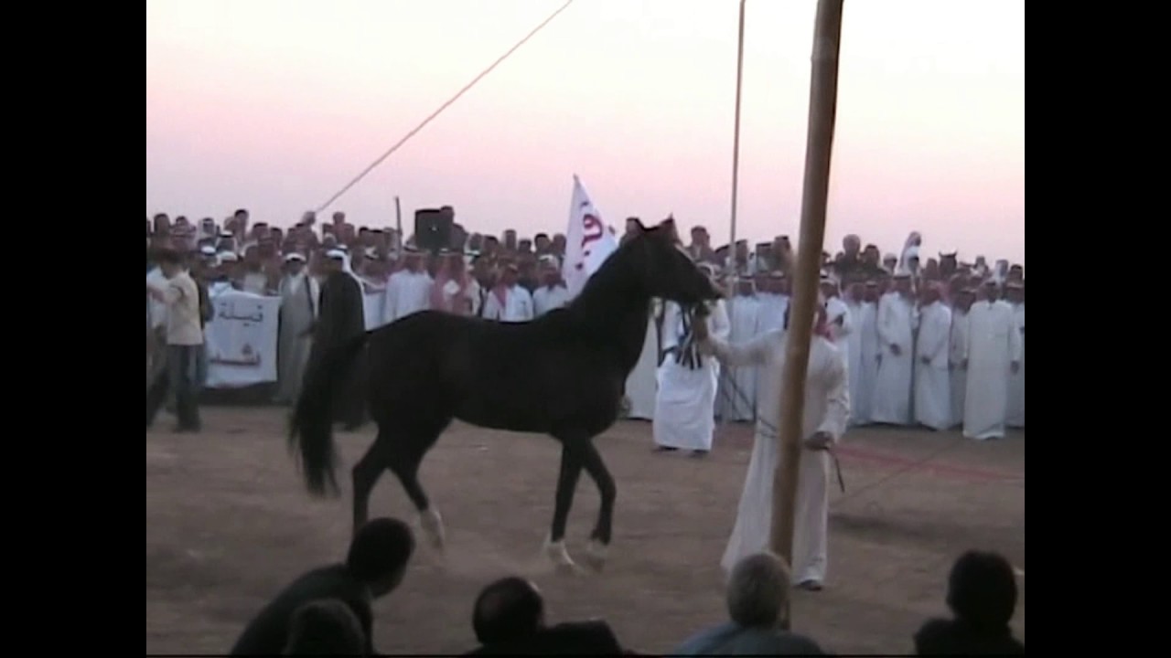 Memories of Syria - Pt 12 - Shammar Tribe