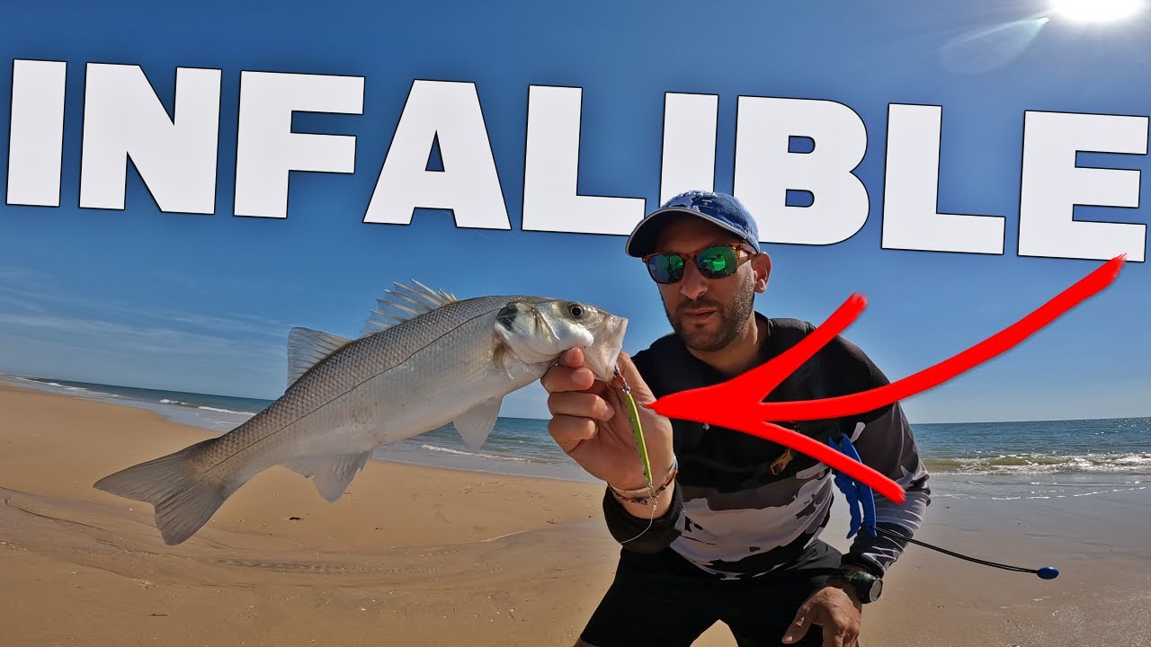SEÑUELOS de SPINNING para PLAYA con PECES REACIOS y POCA ACTIVIDAD
